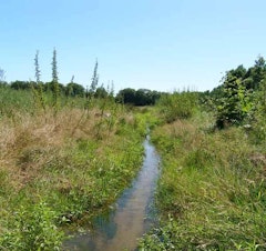 Tour de l'île de Navière