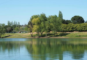 Lac de Beaupuy 
