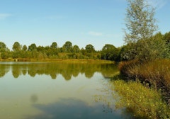 Lac de l'Ayguelongue