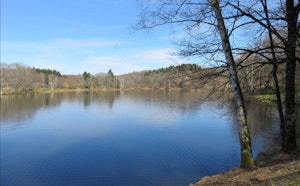 Lac de Pontcharal