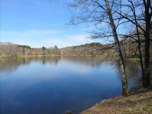 Lac de Pontcharal