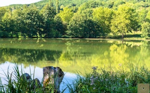 Tour du lac du Causse