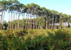 Tuc des Neuf Églises