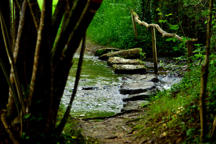 Vallée de la Renaudie