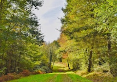 Around Betplan