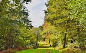 Around Betplan