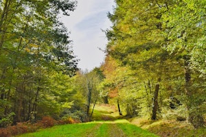 Around Betplan