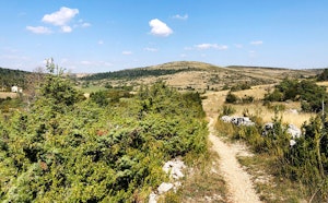 Around Nissoulogres