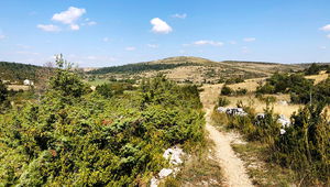 Autour de Nissoulogres