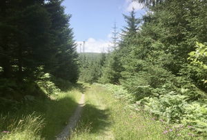 Around Pech de Martinou