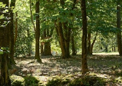 Aussonnelle