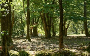 Aussonnelle