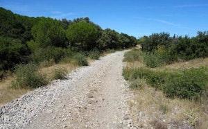 Around Saint-Georges-d’Orques