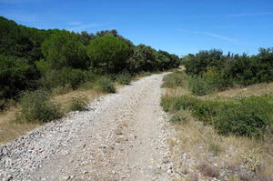 Autour de Saint-Georges-d’Orques
