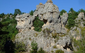 Aven du Valat Nègre