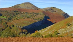 Béout
