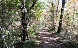 Between Mirandol-Bourgnounac and Le Carelié