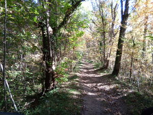 Entre Mirandol-Bourgnounac et Le Carelié