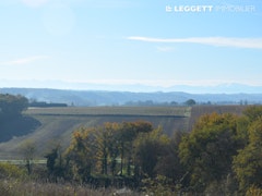 Bois de Claran