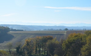 Bois de Claran
