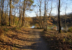 Forêt de Bouconne