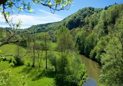 Bois de Linars