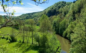 Bois de Linars