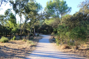 Bois de Montmaur