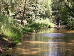 Bois de Salles