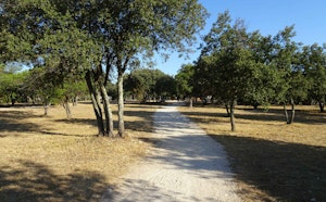 Bois des Espeisses