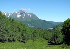 Azet Loop