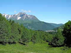 Azet Loop