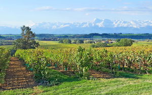 Around Saint-Hilaire