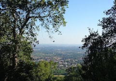 Cabanes de Mata Porcs