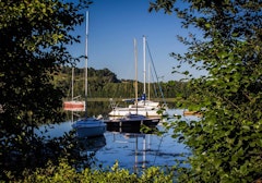 Banks of the Garonne