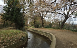 Canal de Perpignan