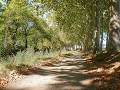 Canal du Midi