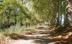 Canal du Midi