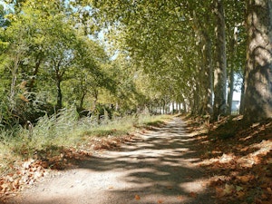 Canal du Midi