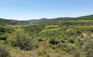 Chemin de Tibéret