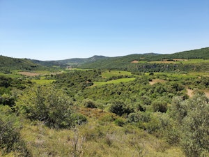 Chemin de Tibéret