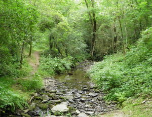 Circuit de l'Andouquette