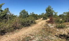 Circuit du Chemin de Bonnefon