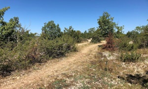 Circuit du Chemin de Bonnefon