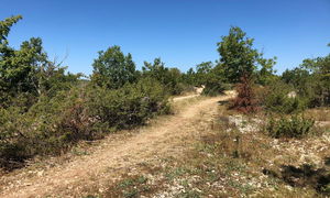 Circuit du chemin de Bonnefon
