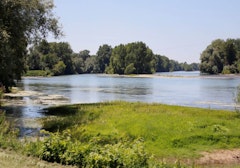 Confluence du Tarn et de la Garonne