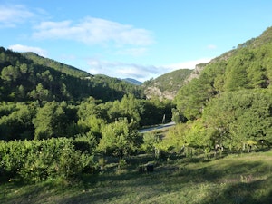 Étape 11 : de Saint-Etienne-Vallée-Française à Saint-Jean-du-Gard 