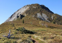 Dent d'Orlu