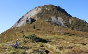 Dent d'Orlu