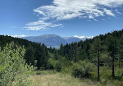 Forêt de Font-Romeu
